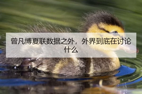 曾凡博夏联数据之外，外界到底在讨论什么